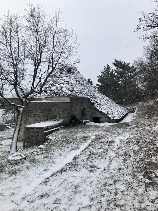 021 2018_casa_Walcher-4695.jpeg